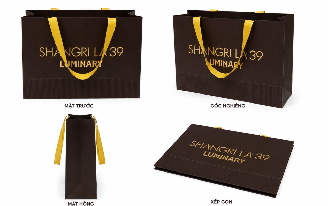 Demo túi giấy Iv250 quai lụa cho shop quà tặng