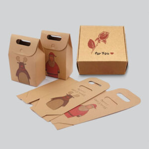 Túi giấy kraft có quai