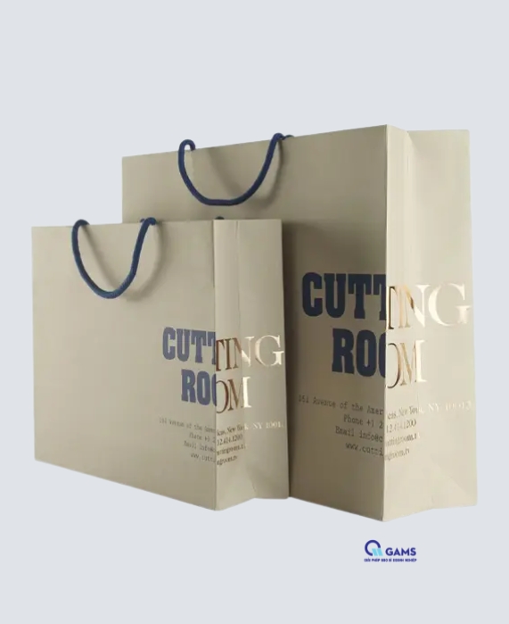 Mẫu túi giấy shopping bag