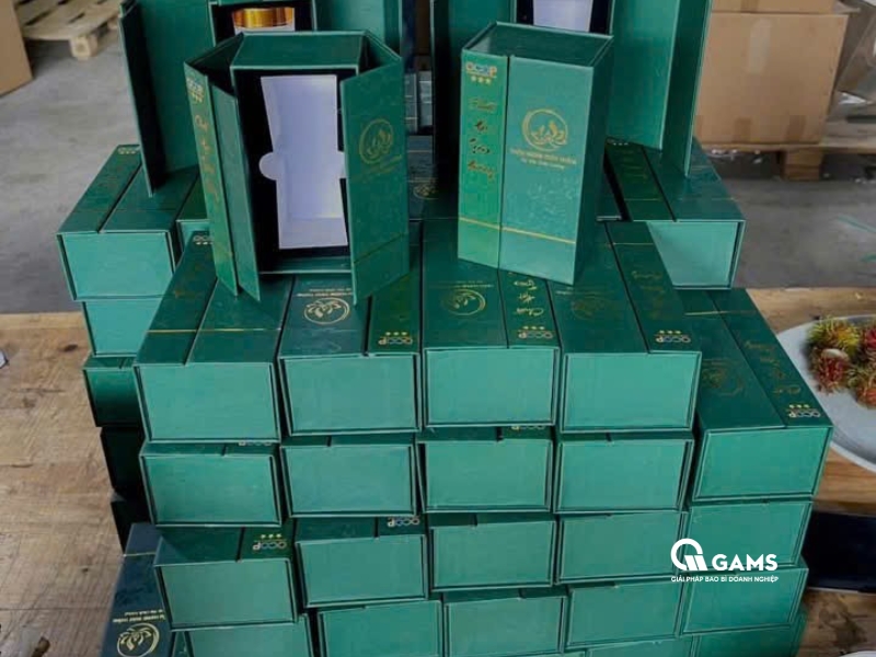 In hộp cứng cánh bướm nắp nam châm