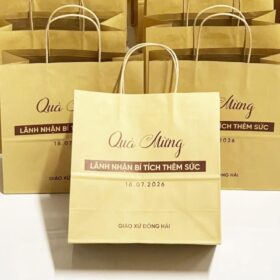 mẫu túi giấy kraft đẹp cho shop