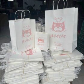 Túi kraft trắng quai xoắn in logo màu