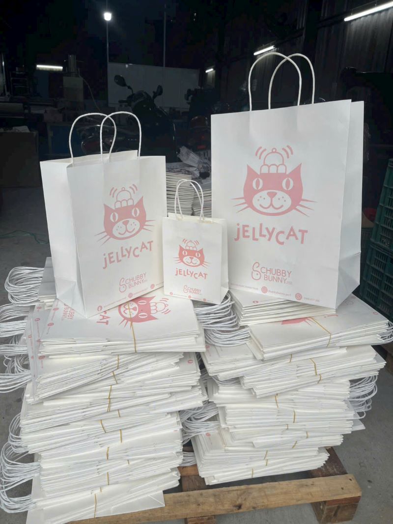 Túi kraft trắng quai xoắn in logo màu